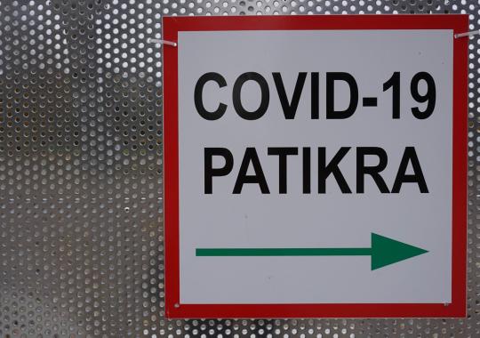 Aplinkai draugiškos Vėlinės – mažiau yra geriau