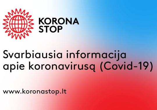 Bus tęsiami darbai Vilniaus gatvės skvere