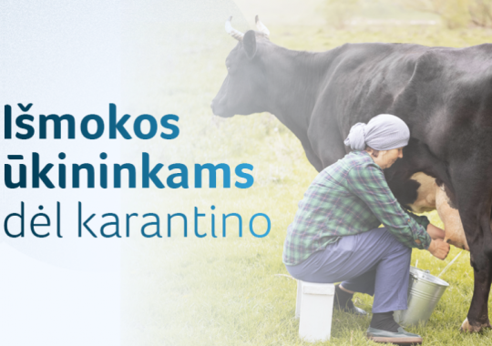 Kontrolės komitete kalbėta apie daugiabučių namų renovacijos eigą