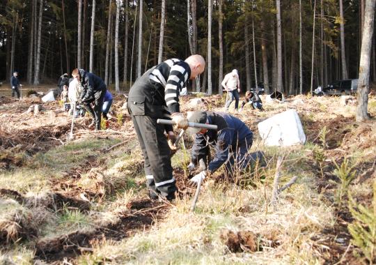 Etikos komisijos posėdis – birželio 13 d. 13 val.