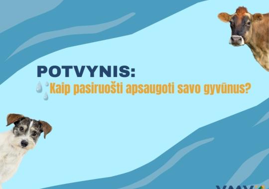 Saugokitės susidariusių varveklių ir nuo stogų krentančio sniego