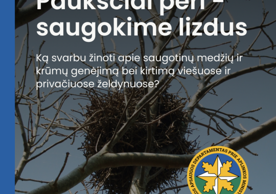„Šeimos inkilas“ subūrė ukmergiškius kilniam tikslui – sugrįžtantys...