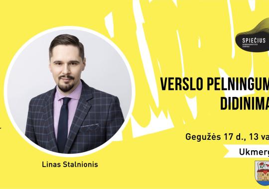 Verslo pelningumo didinimas