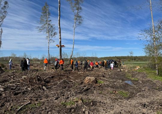 Lietuvoje siautės stiprus vėjas: ESO iš anksto telkia pajėgumus ir...