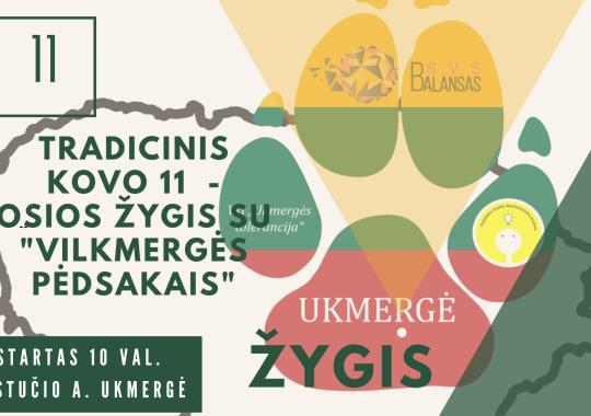 Lietuvos Nepriklausomybės dienos žygis Vepriuose