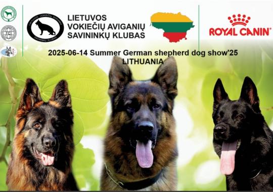 Vyko futbolo turnyras „Vieningas Ukmergės futbolas“