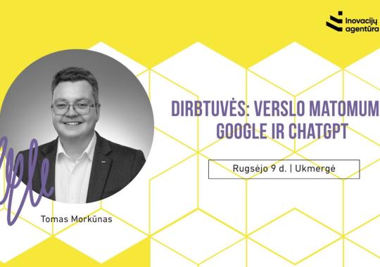 Dirbtuvės: verslo matomumas Google ir...
