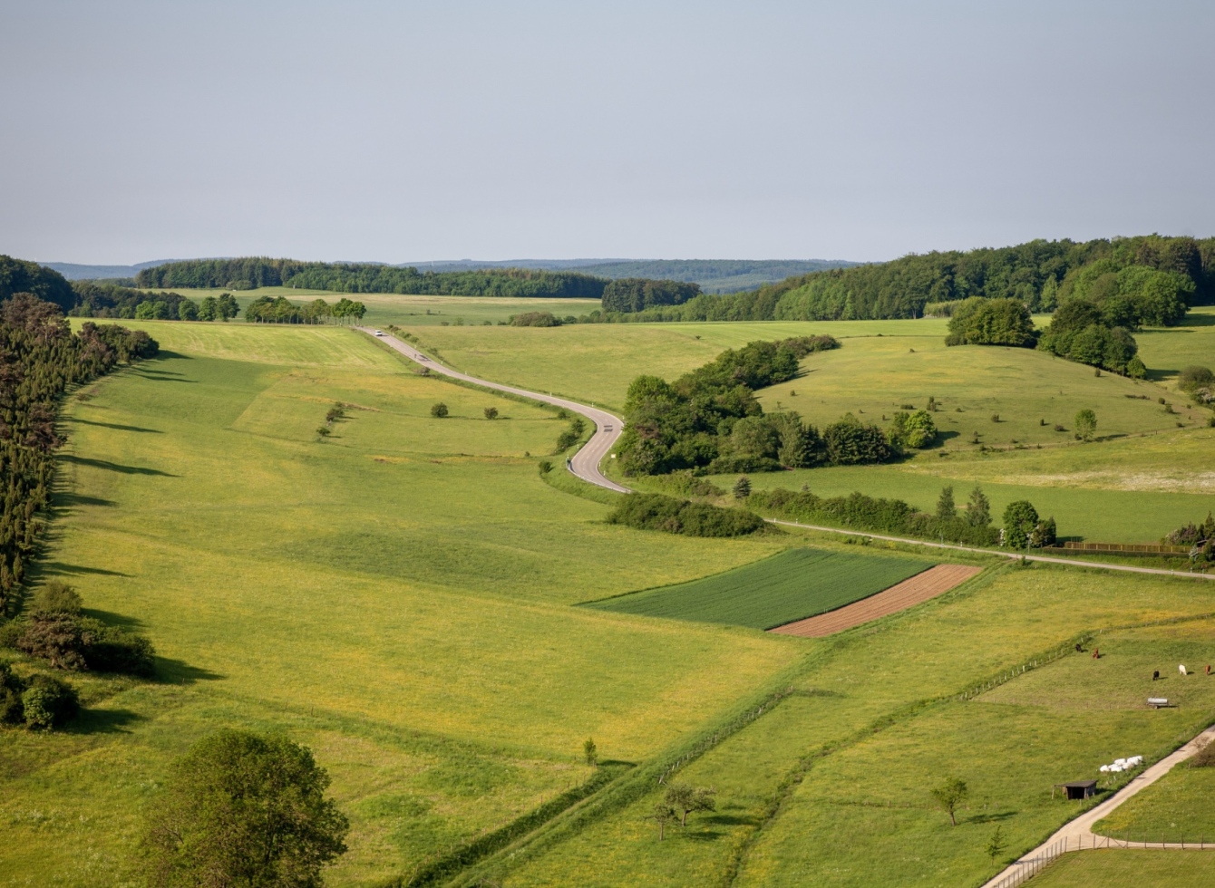 Informacija žemės sklypų savininkams, kurių gyvenamosios vietos adresas nežinomas arba kuriems nepavyko įteikti registruoto laiško