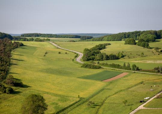 Nuotolinė paskaita „Nė vienas nėra pamirštas“