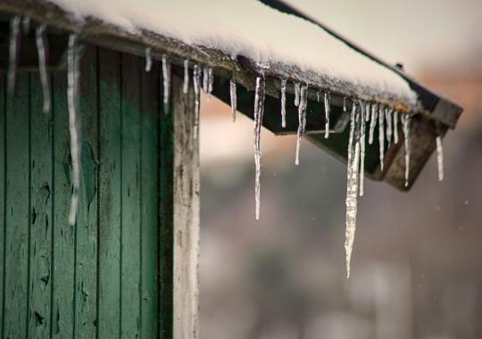 Akcija RADAROM! – tęsiasi ir šiemet