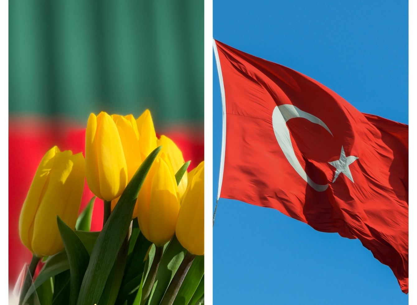 Lietuvos ir Turkijos vėliavos
