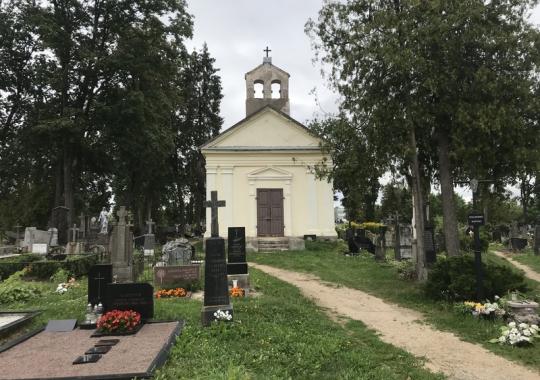 „Galimybių reivas“ nuotolinis renginys jaunimui