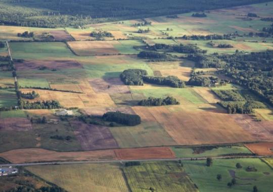 Pradedamas žemės plotų deklaravimas