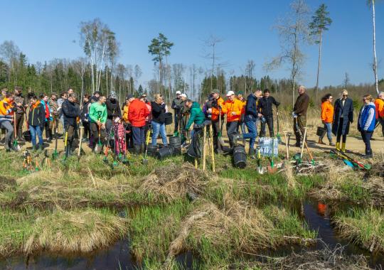 Informacija apie įvykdytą projektą