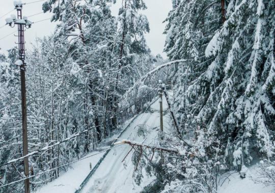 Atviri intelektualūs vakarai įsibėgėja