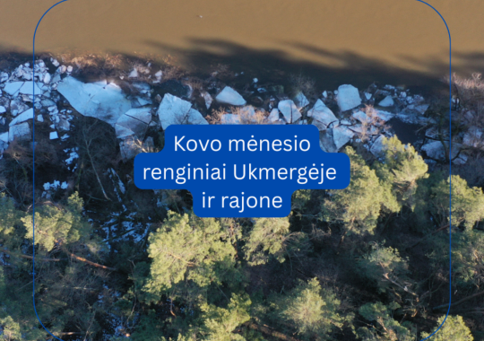 Kvietimas teikti 2026 metų sveikatos projektų paraiškas