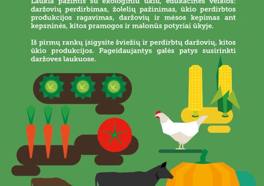 Ukmergės rajono savivaldybės administracija skelbia nekilnojamojo turto...