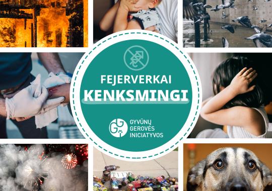 Pasveikinti pasaulį išvydę mažieji ukmergiškiai