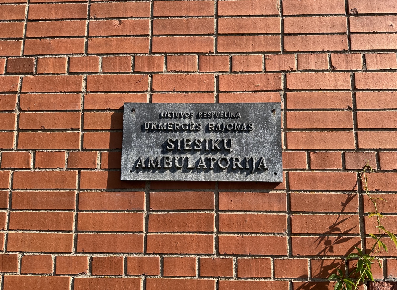 Vizito akimirokos