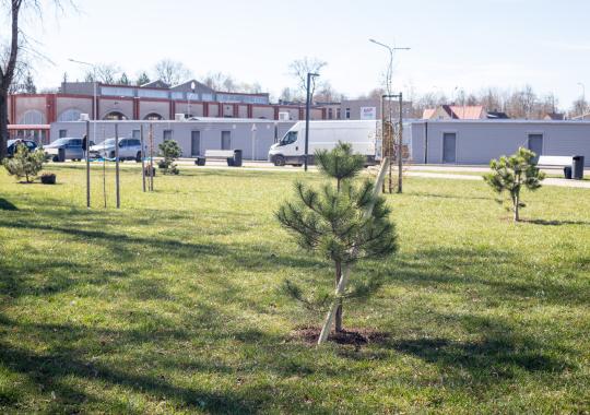 Svarbi informacija: kaip elgtis krizės ar karo atveju