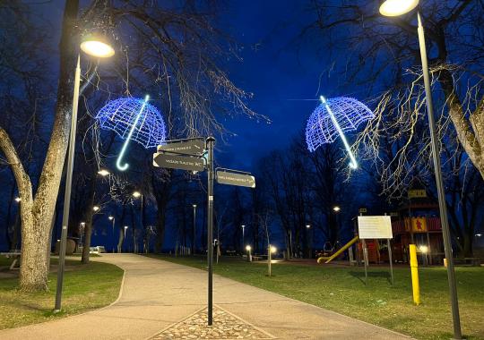 Ukmergėje daugėja medžių: skvere pasodinti klevai ir pušys