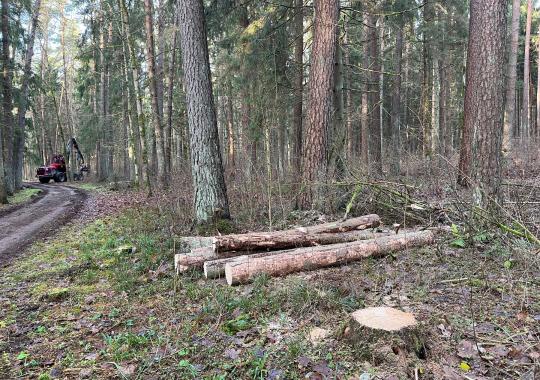 Garažų savininkai kviečiami prisidėti prie projekto įgyvendinimo