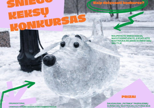 Kontrolės komiteto posėdis 