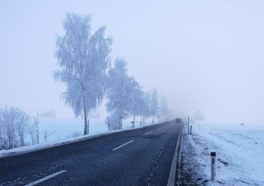 Skelbiamas konkursas Urbanistikos ir infrastruktūros skyriaus...