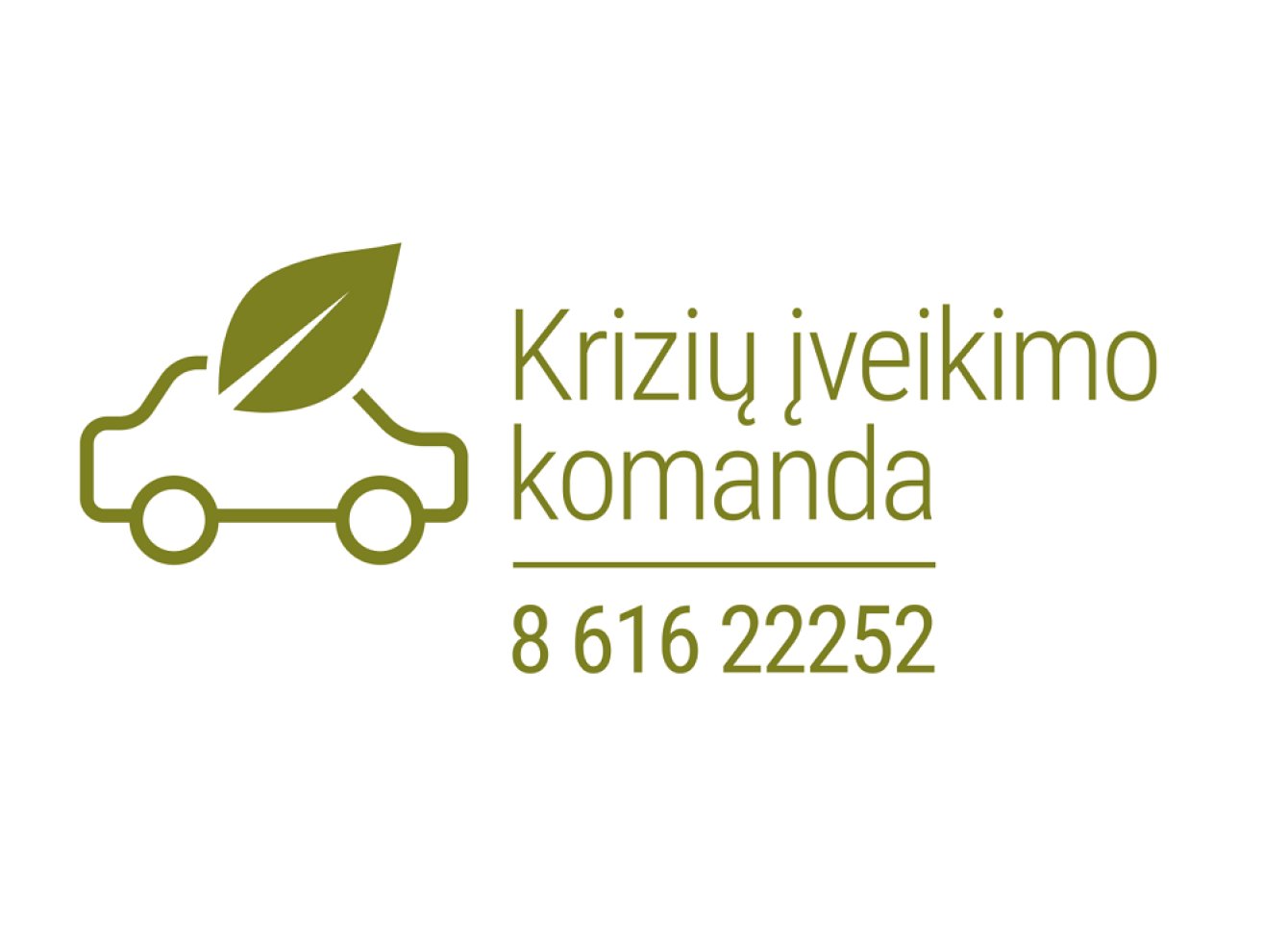 Krizių įveikimo komanda
