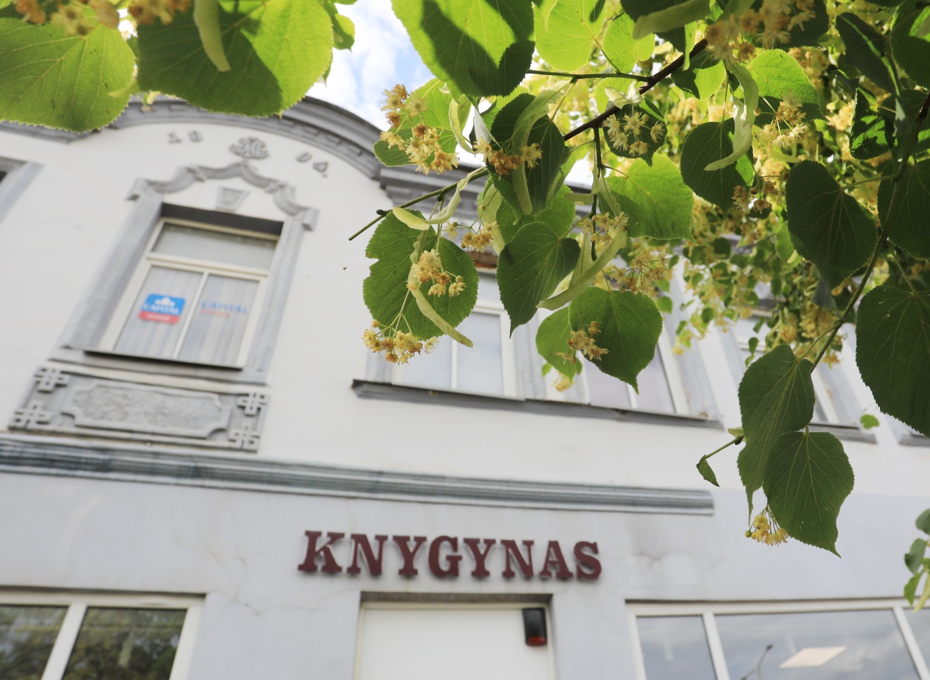 Knygynas