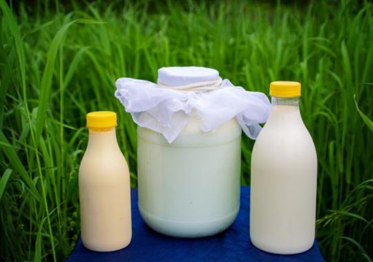 Pieno gamintojus pasieks 8 mln. eurų...