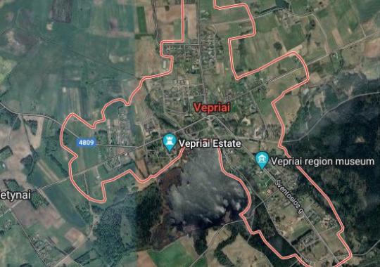 „Vėjų“ bendruomeniniuose vaikų globos namuose įsikūrė tėvų globos netekę...