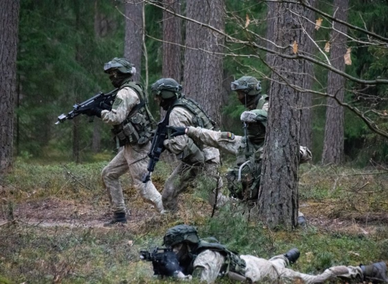 Ukmergės rajone vyks karinės pratybos