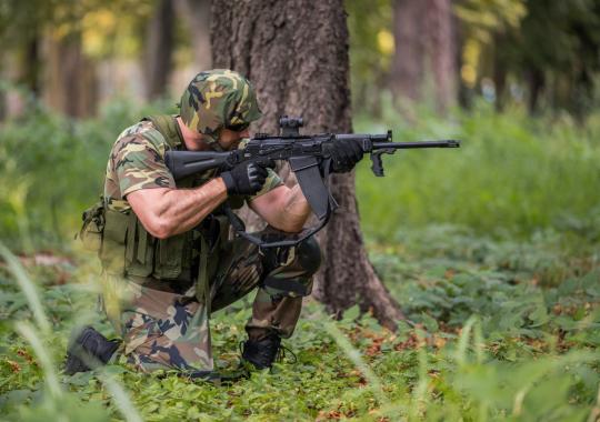 Siesikų seniūnijos seniūnė pristatė veiklos ataskaitą