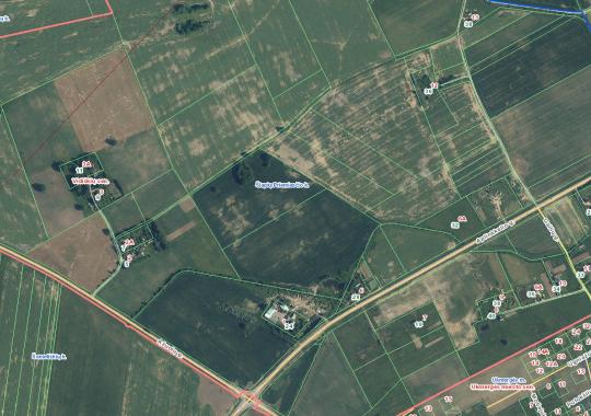 Vietos savivaldos dieną primins pavasarį pražydę krokai