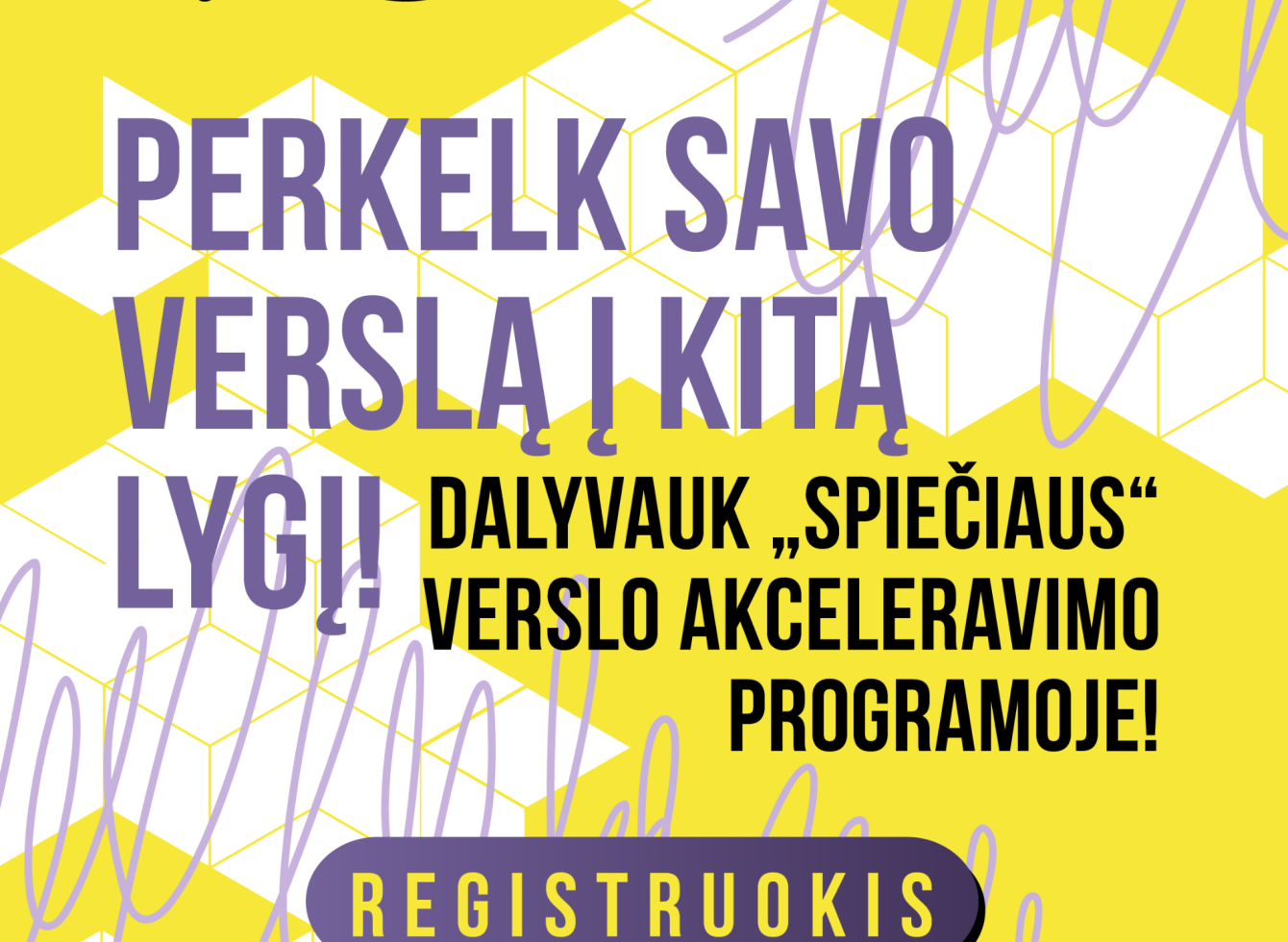 Akceleravimo programa