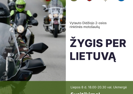 Prezidento projektas „Lietuvos galia