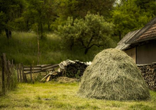 Aktualūs Ekologinės gamybos taisyklių pakeitimai