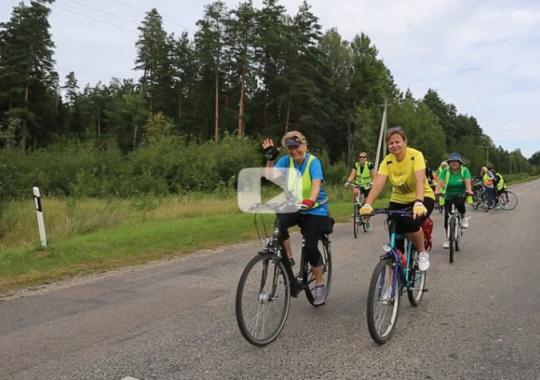 Pasitarime - savivaldybei pavaldžių ir valstybinių įstaigų bei įmonių...