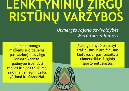 Kontrolės komiteto posėdis