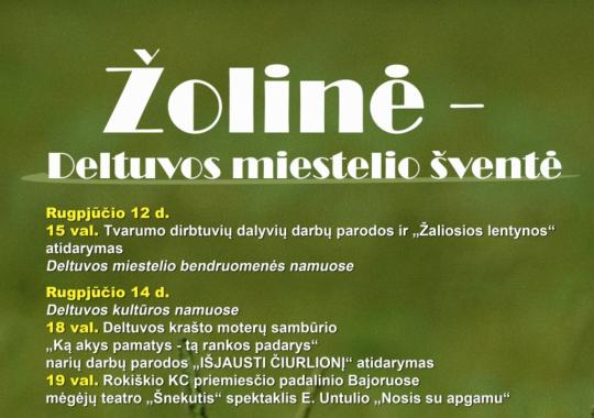 Sutvarkytas kelias vedantis į Didžiosios Kovos apygardos partizanų parką