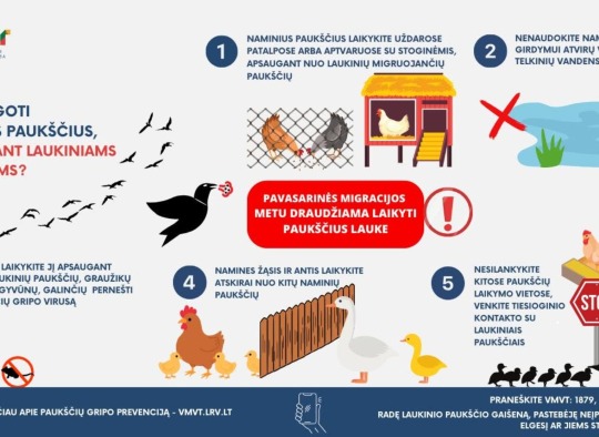 Įspėjimai paukščių augintojams: paukščių gripo protrūkis Širvintų rajone
