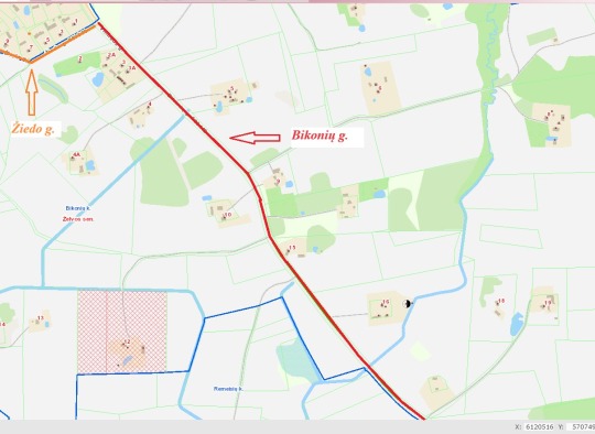 Bikonys