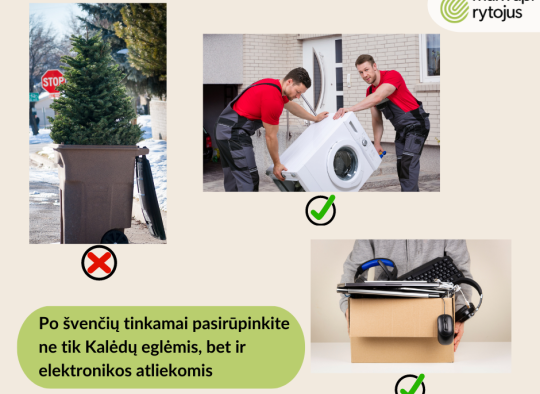 elektronikos atliekos