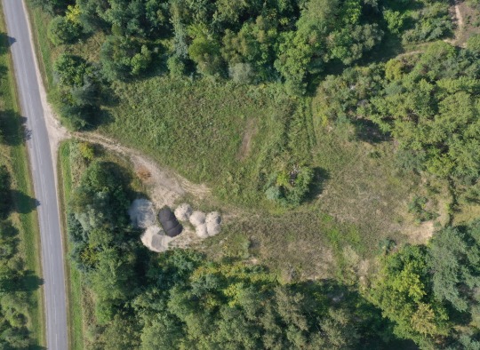 Jogvilų kaime (Lyduokių sen.) apie 0,9 ha dydžio laisvos valstybinės žemės sklype bus įsteigtos naminių gyvūnų augintinių kapinės