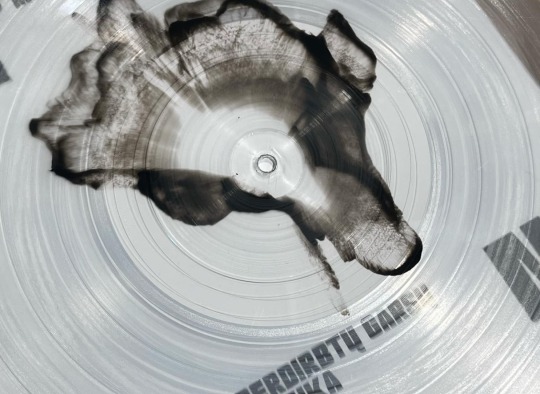 „Gamtos ateitis“ išleido ribotą tiražą vinilo plokštelių