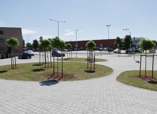 Ukmergės skveras pasipuošė naujais želdiniais