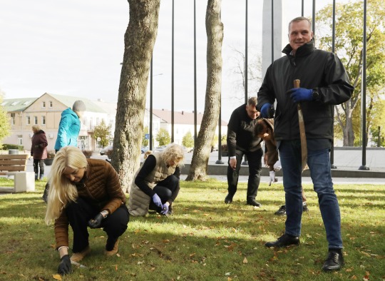 Krokų sodinimo akimirka