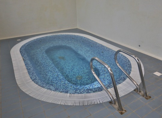 Atsinaujinęs baseinas
