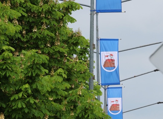 Vasara jau čia pat“ – Ukmergė pasipuošė miesto šventei